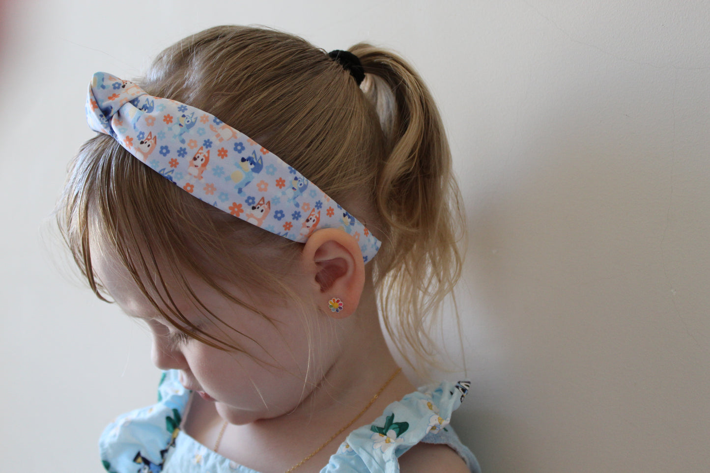 Pastel Daisy Heeler mashup hard headband