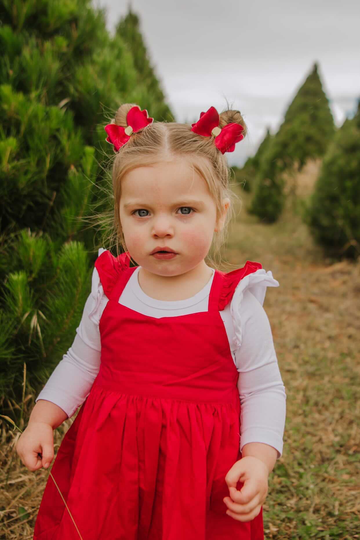 Crushed Velvet bow Single bow