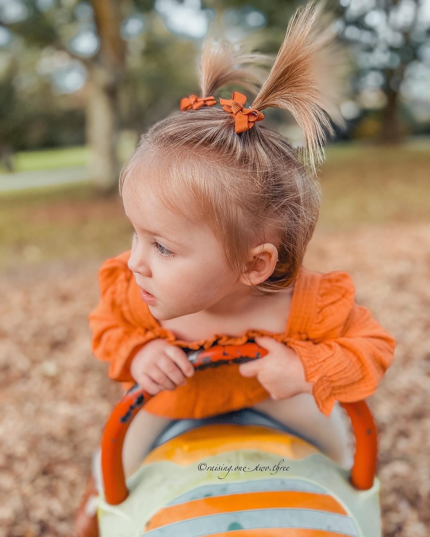 Boutique mini baby clip set Deep Spice Tones